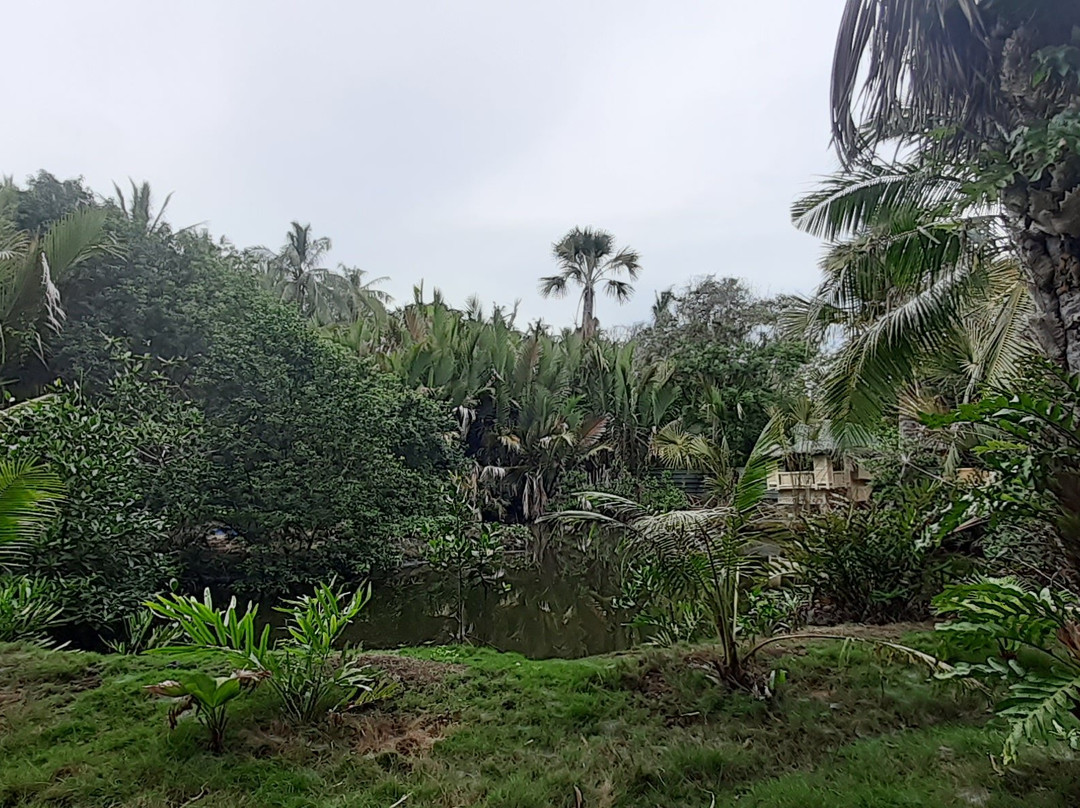 拉埃斯特雷海滩度假村主图