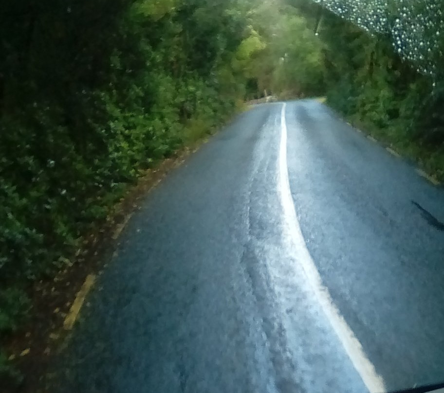 Specialized Travel Services-都柏林必去景点