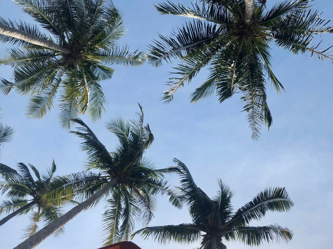 Shambhala Beach Bar-象岛必去景点