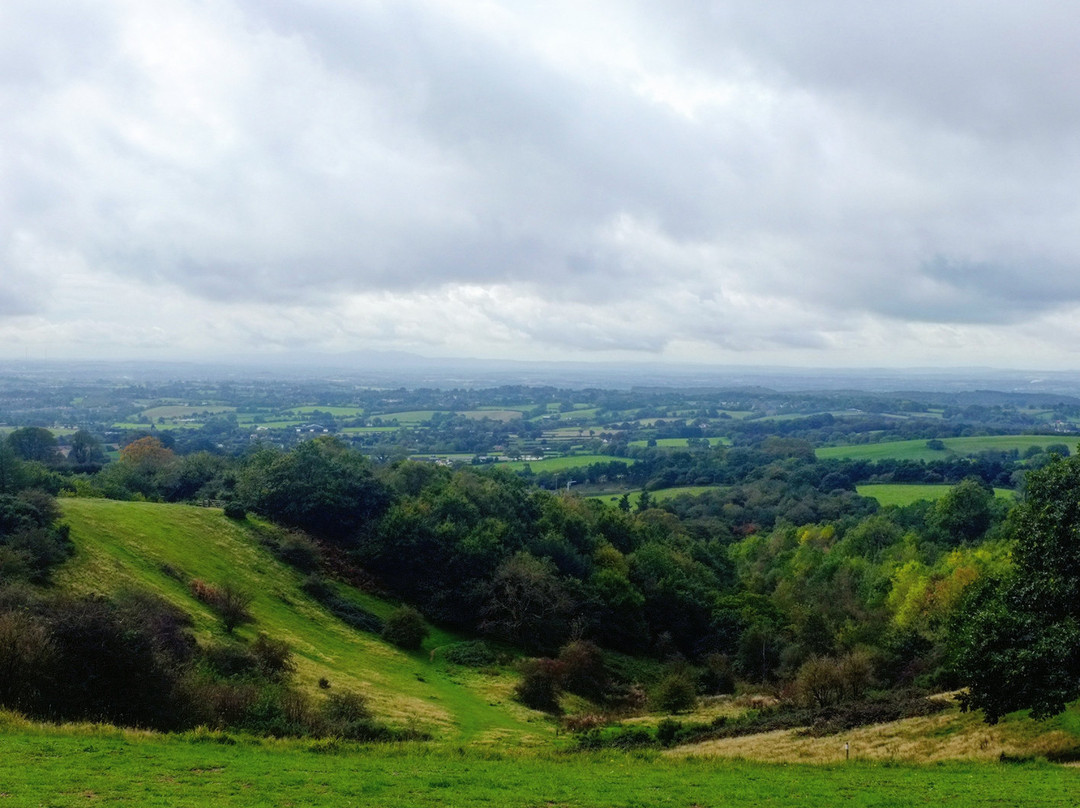 Waseley Hills Country Park-伯明翰必去景点