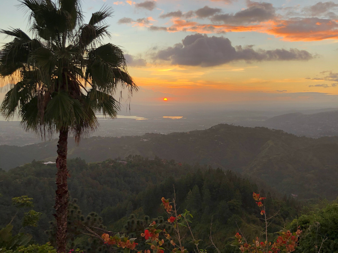 Strawberry Hill主图