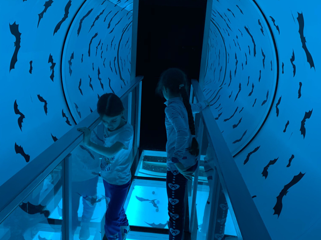 Museum of Human Living Systems-莫斯科必去景点