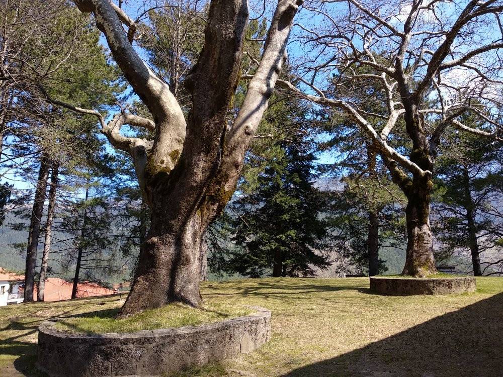 Averofeios Garden-迈措沃必去景点