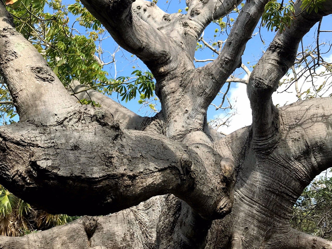 Hofi Pastor-Barber必去景点