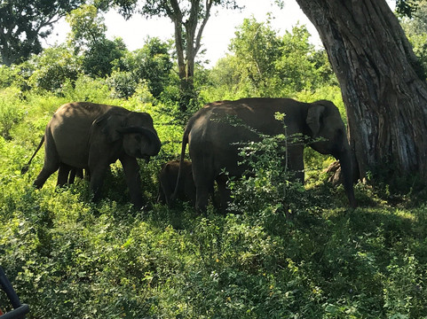 Uplanka Tours-卡卢特勒必去景点