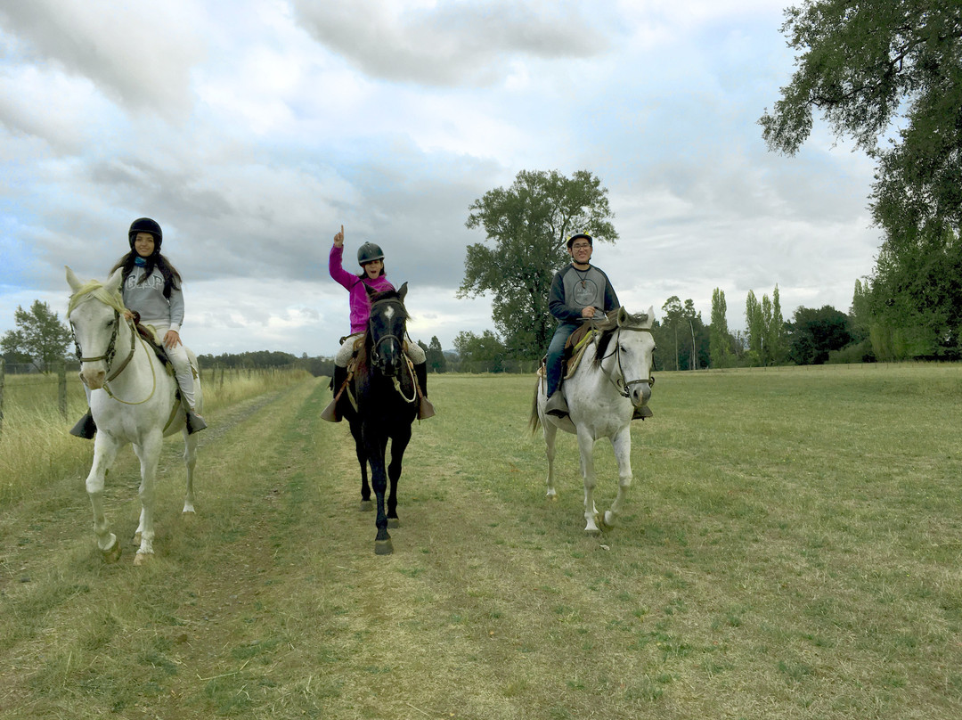 Equspatagonia-特木科必去景点