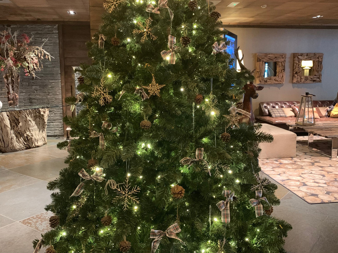 瓦德纽酒店主图