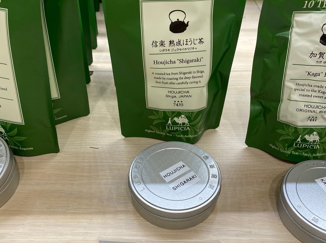 绿碧茶园景点图片