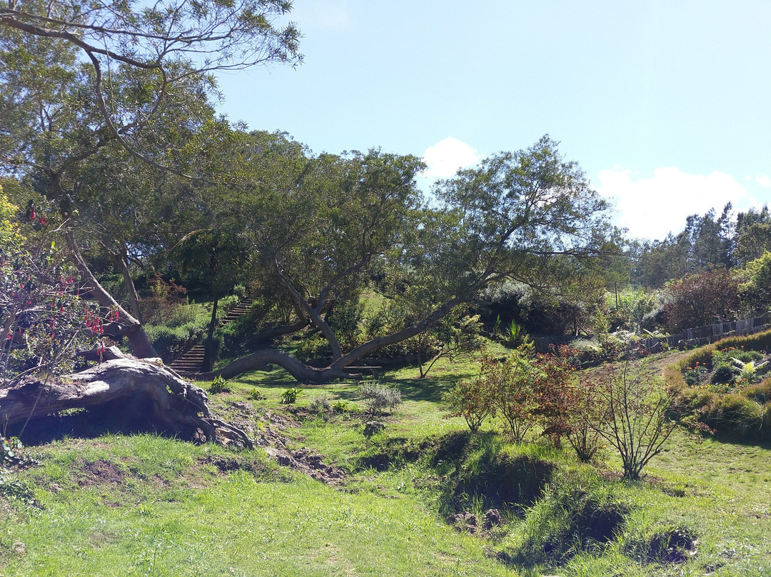 Tamarinaie Ravine Blanche景点图片
