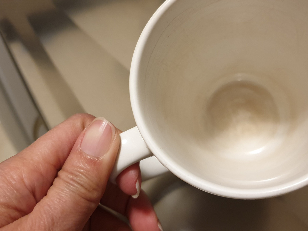 Fountain City Motor Inn主图