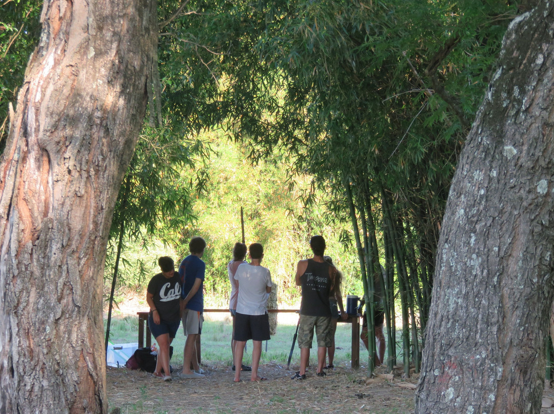 Caraya Ecoparque景点图片