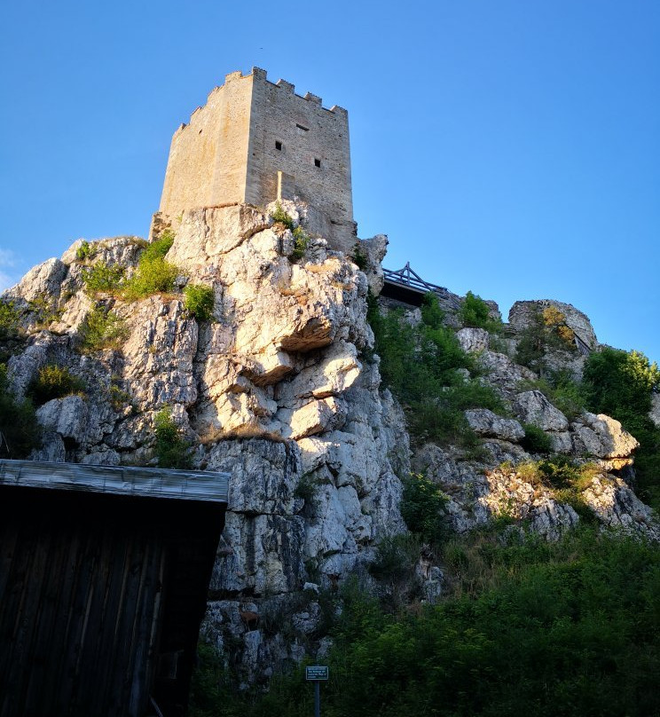 Burg Weissenstein-Regen必去景点