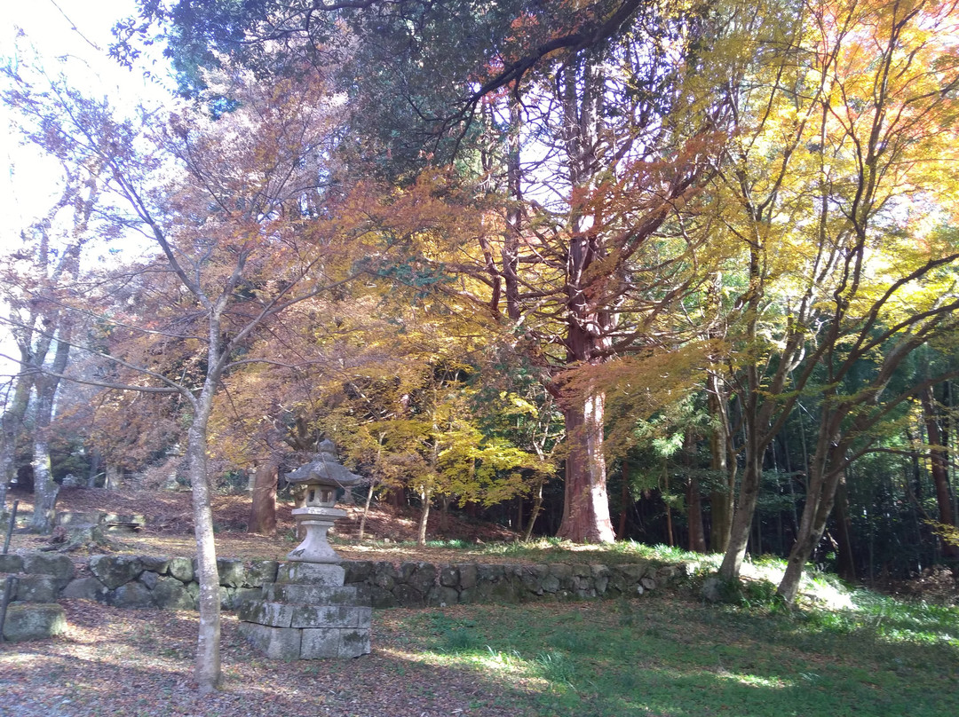 Ii Shrine-彦根市必去景点