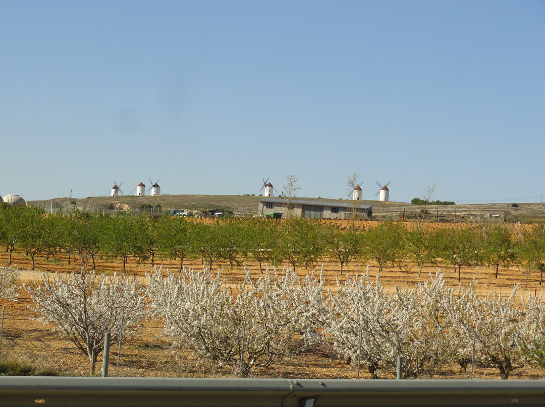 Hotel Los Arenales主图