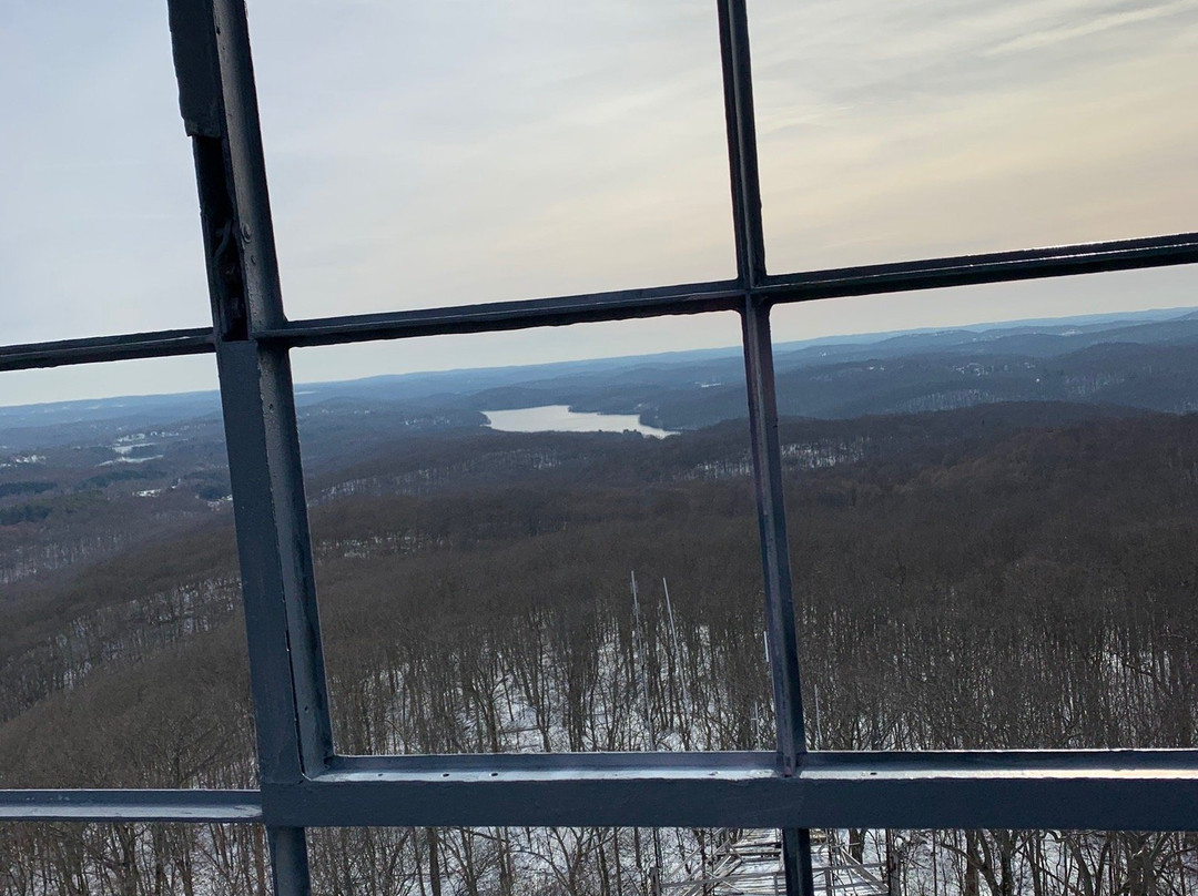 Mt. Ninham Fire Tower景点图片