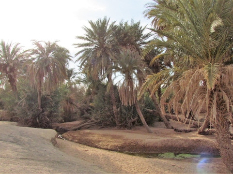 L'oasis Sacree-El Gouera必去景点