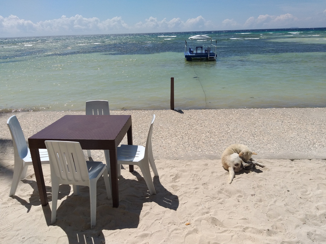 Tropical Fun Ta Sea Rentals主图