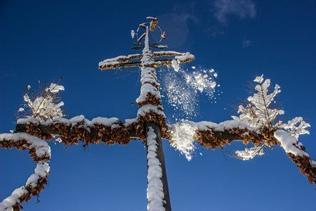 Hotell Klockargården主图