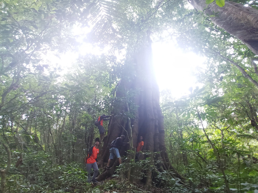 Wanagiri Bali Adventure景点图片