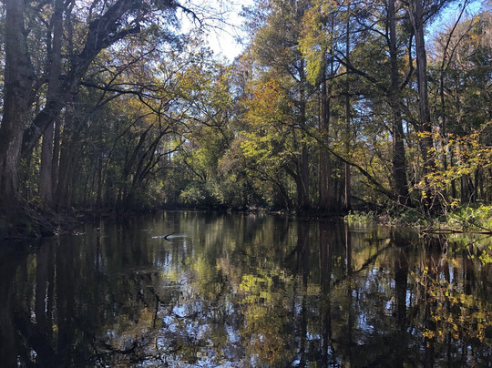 John B Sargeant Sr Park-Thonotosassa必去景点