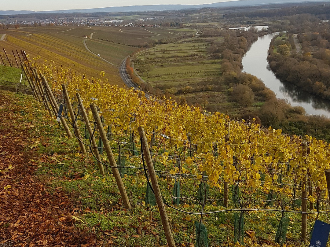Weingut Horst Sauer景点图片