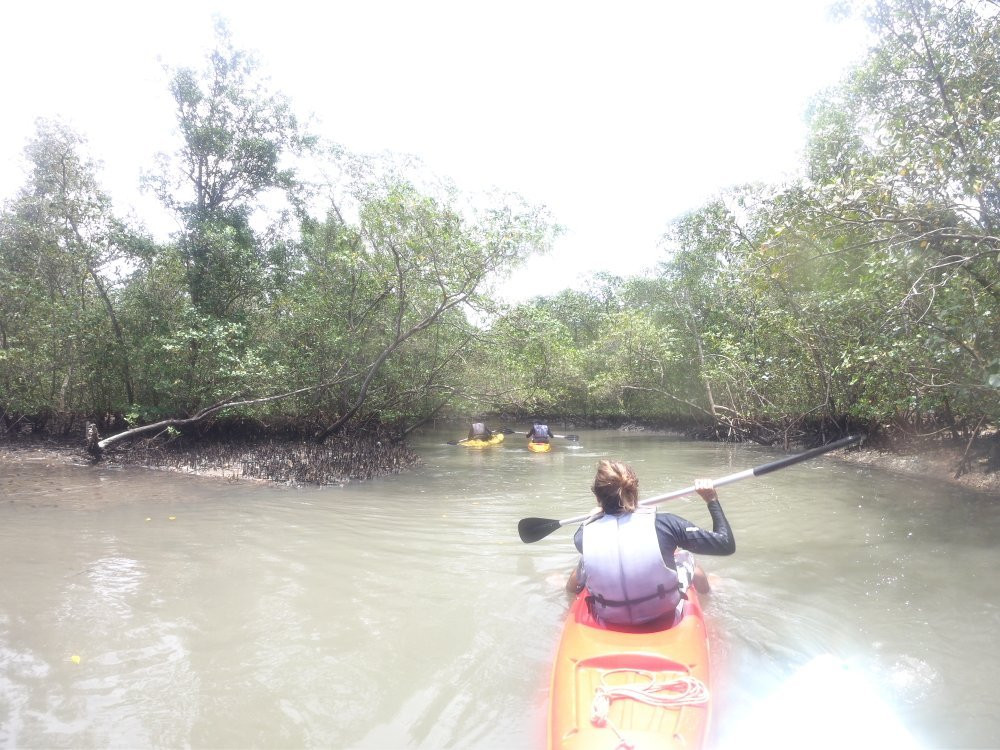 Kayak Paraty - Water sports景点图片