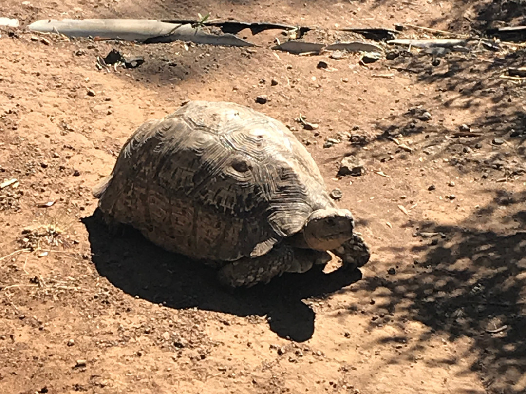 Free State National Botanical Garden-布隆方丹必去景点