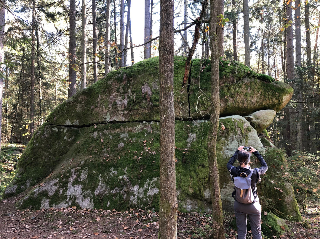 Naturpark Blockheide景点图片