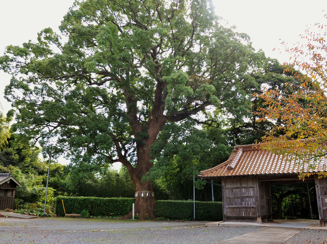 Tada-ji Temple-滨田市必去景点