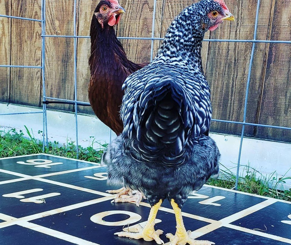 Children's Museum of Southern Minnesota-曼凯托必去景点