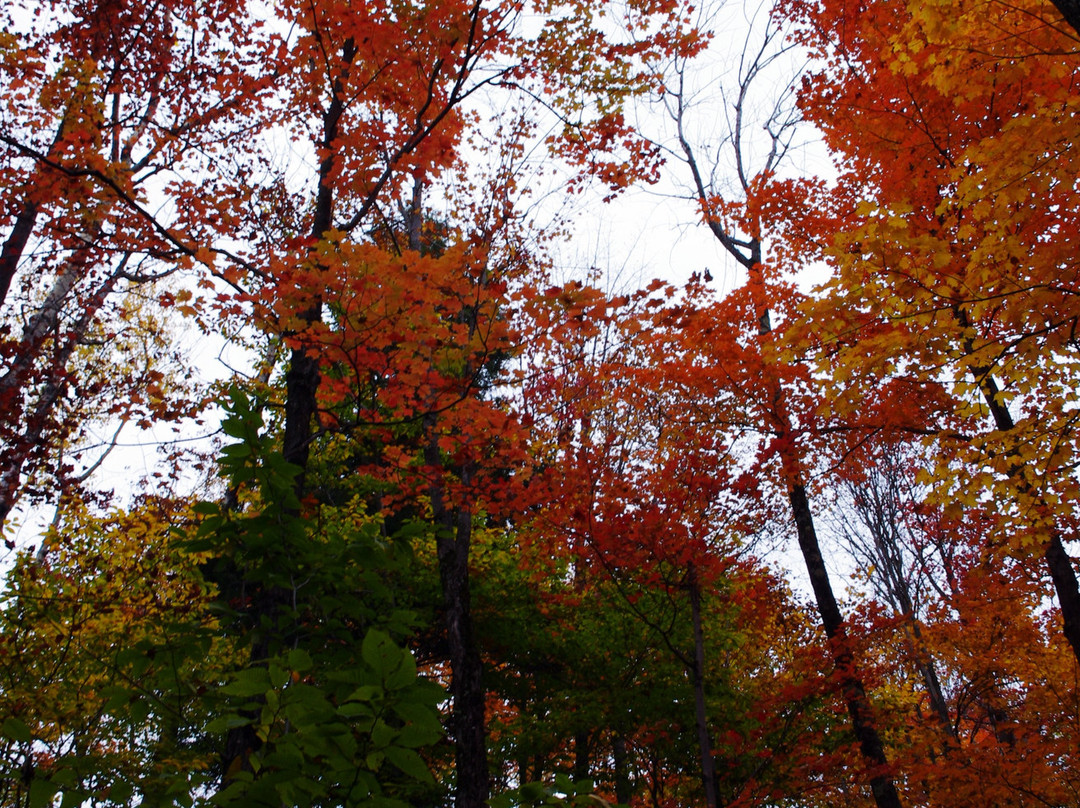 Etang Fer de Lance-Orford必去景点