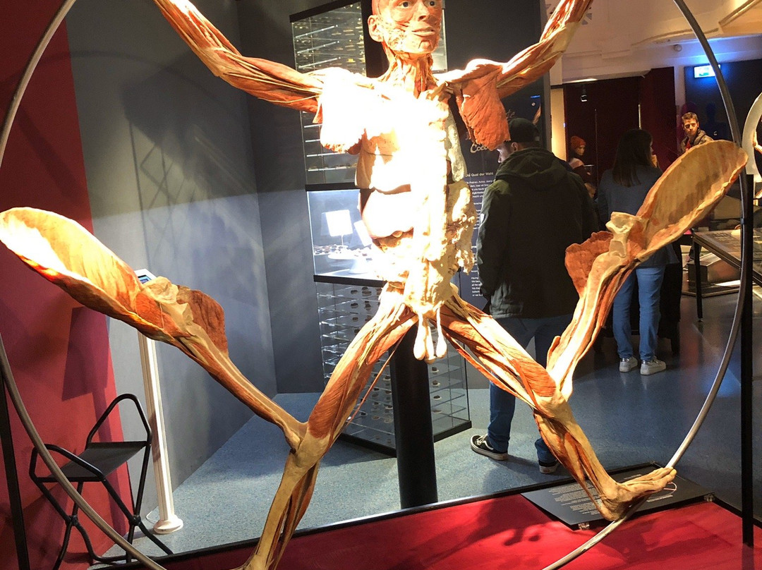 KORPERWELTEN Museum – Anatomie des Glücks-海德尔堡必去景点