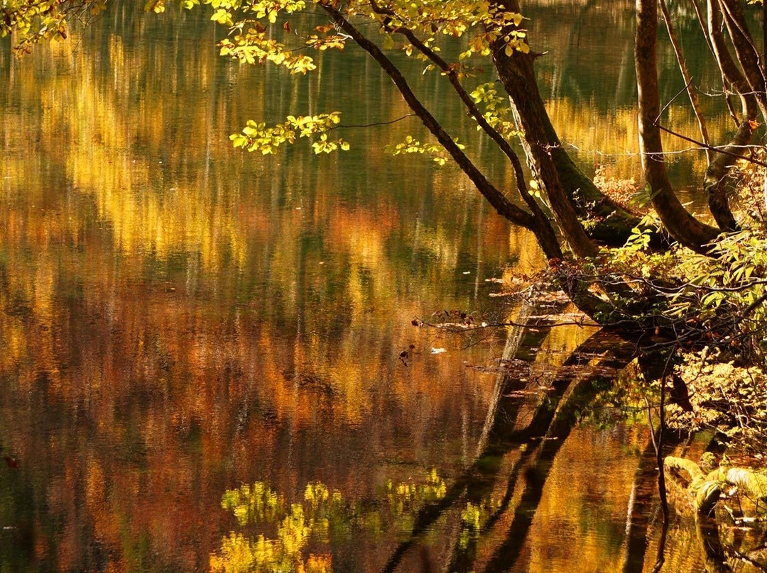 Ryugakubonomizu-津南町必去景点
