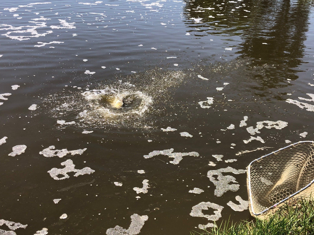 Hook-A-Barra-Wonga Beach必去景点