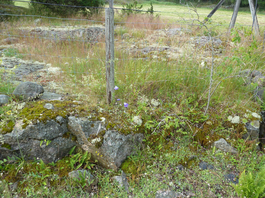 Graso Gard Naturreservat-Osthammar必去景点