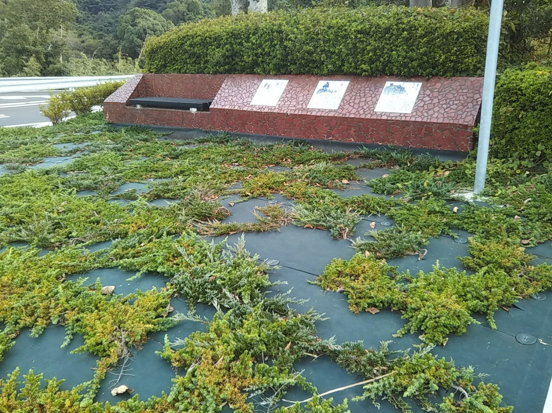 Ogi Parking Area Outbound-小城市必去景点