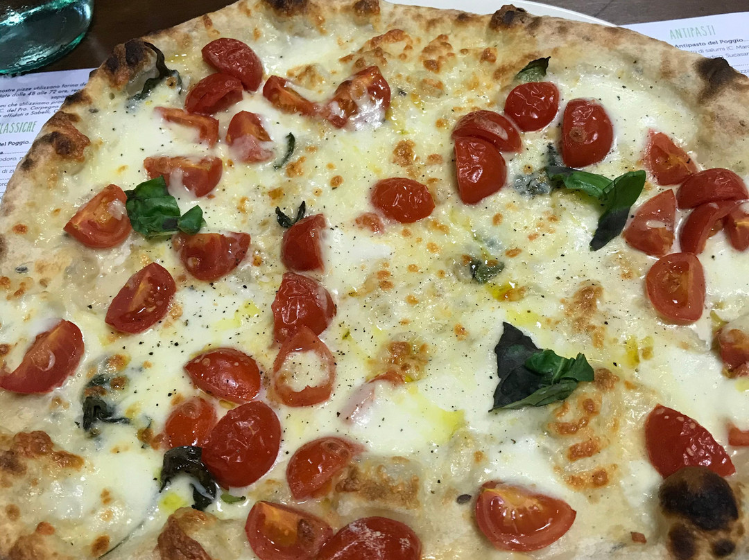 Poggio San Vicino旅游攻略图片