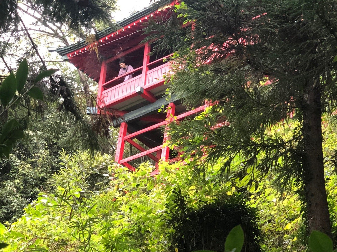 Izuruhara Benten Pond-佐野市必去景点