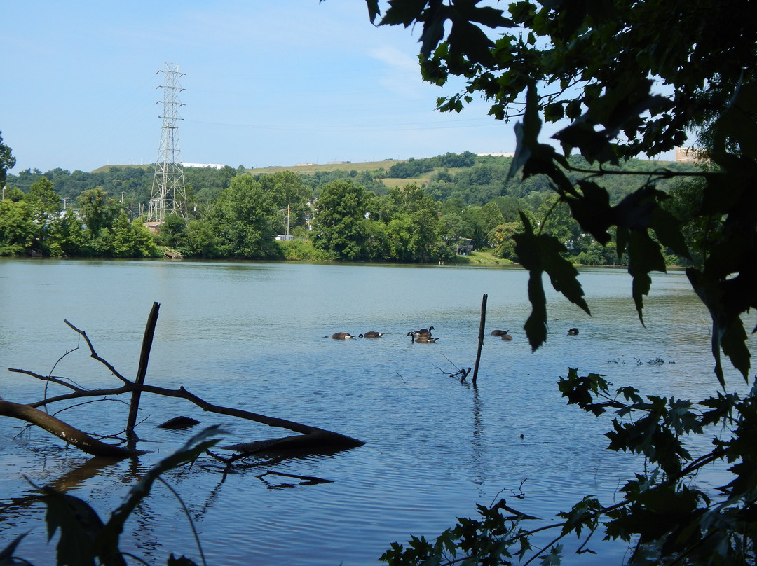 WVU Core Arboretum景点图片