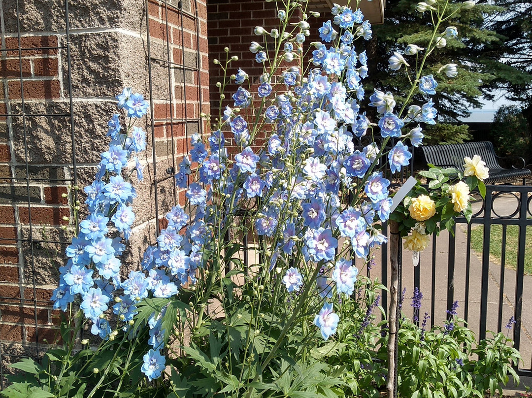 Leif Erickson Park-德卢斯必去景点