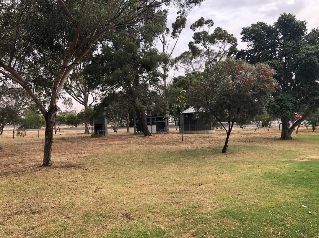 Centenary Park-Wycheproof必去景点