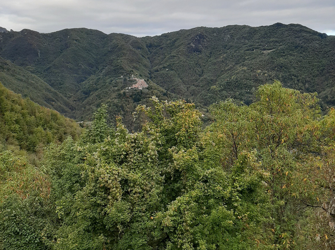 Bed and Breakfast - Principessa Turlonia主图