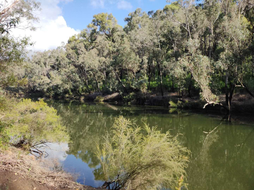 Lane Pool Reserve-Dwellingup必去景点