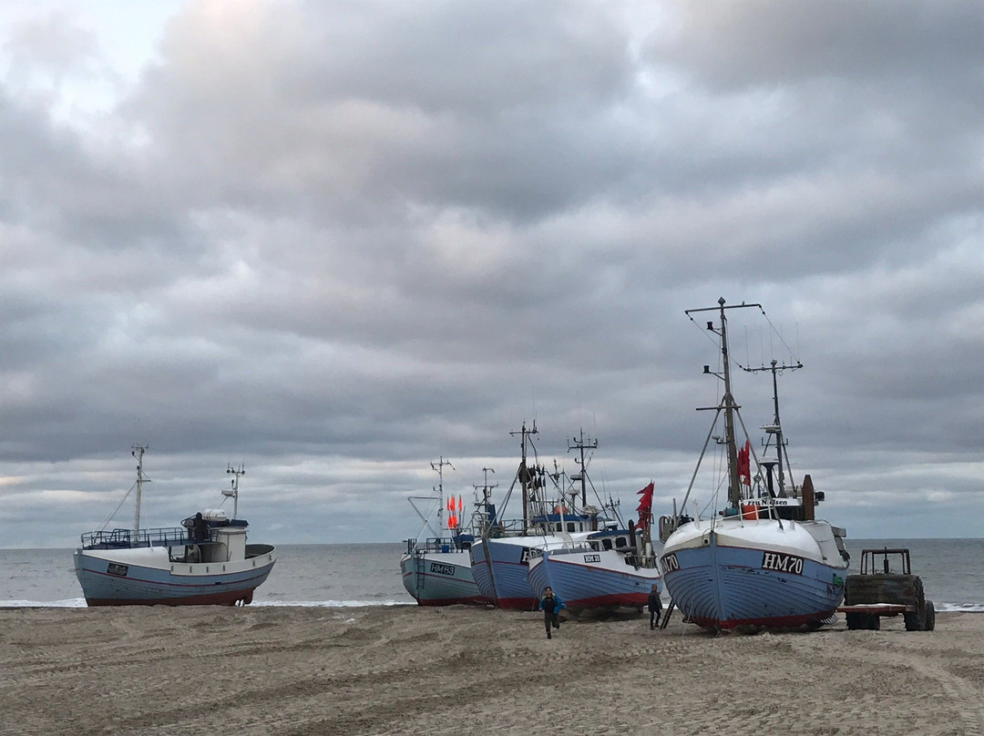 Kystudstillingen Thorup Strand景点图片