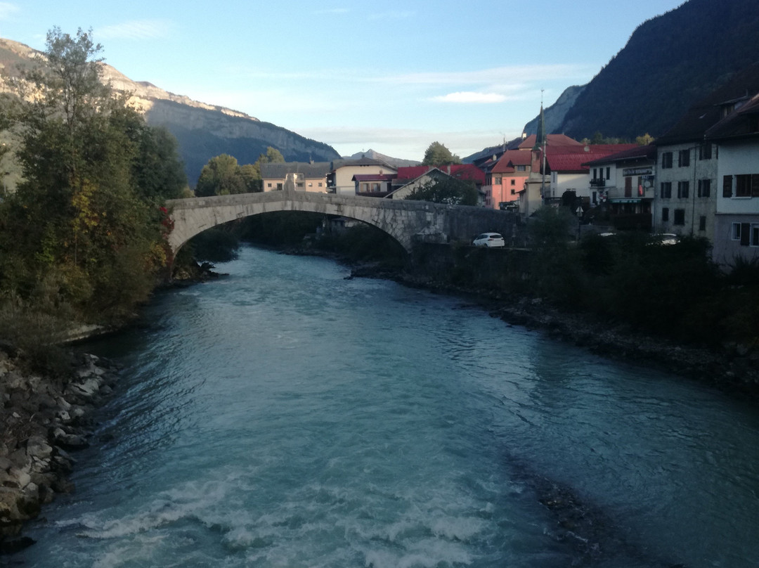 Vieux Pont de Saint Martin-萨朗什必去景点