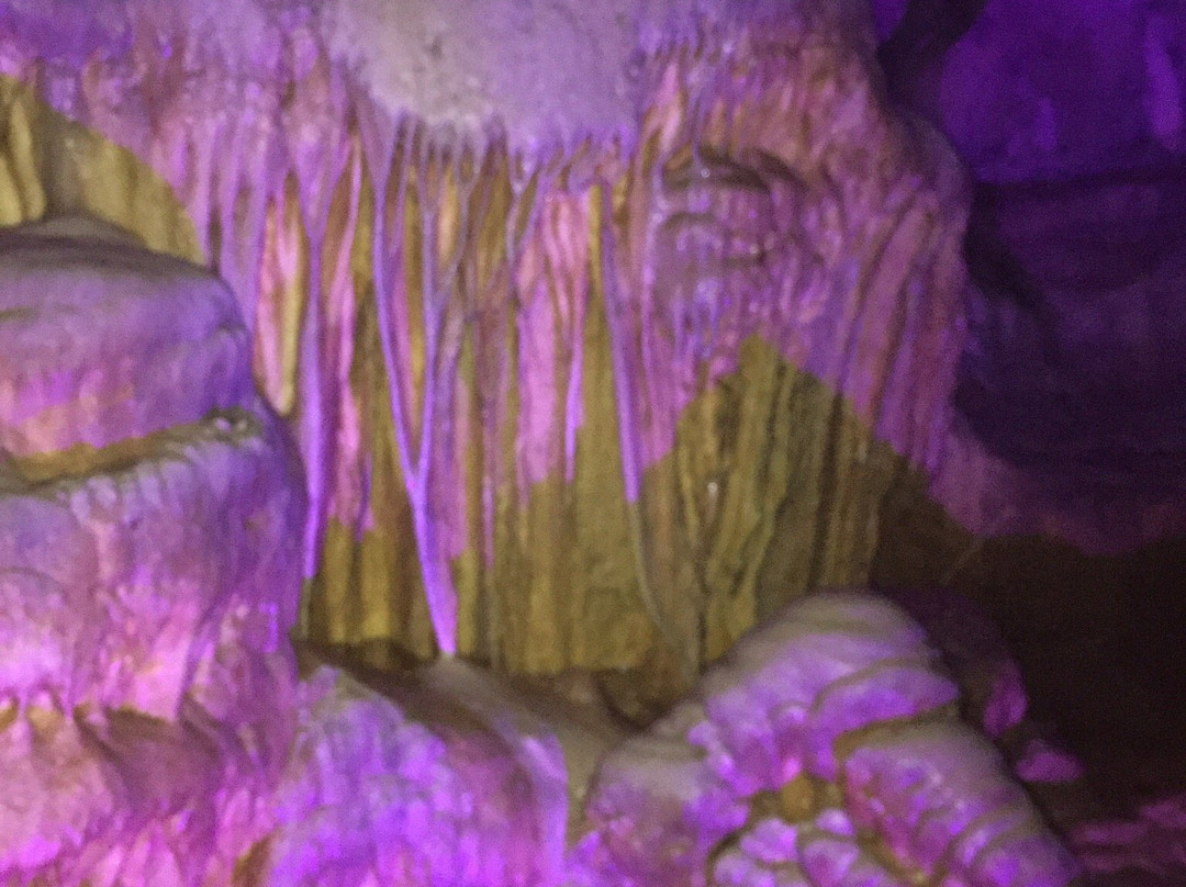 Les Grottes de Bèze-Beze必去景点