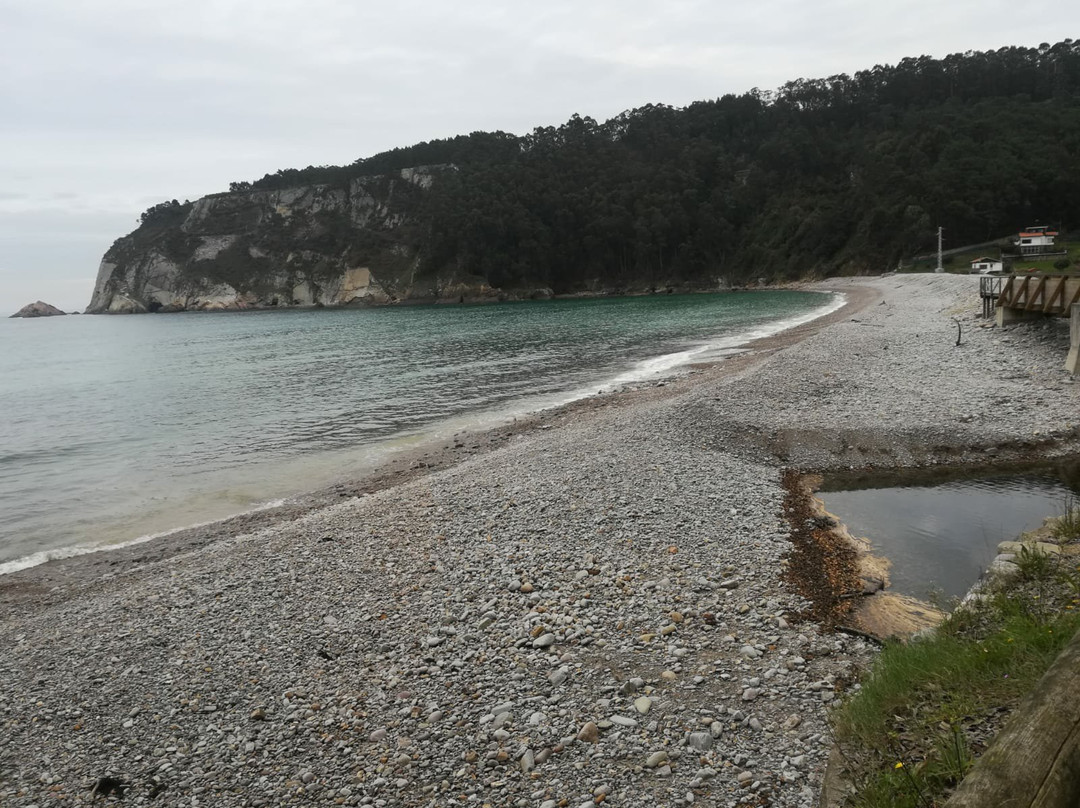 Playa Concha de Artedo-库迪列罗必去景点