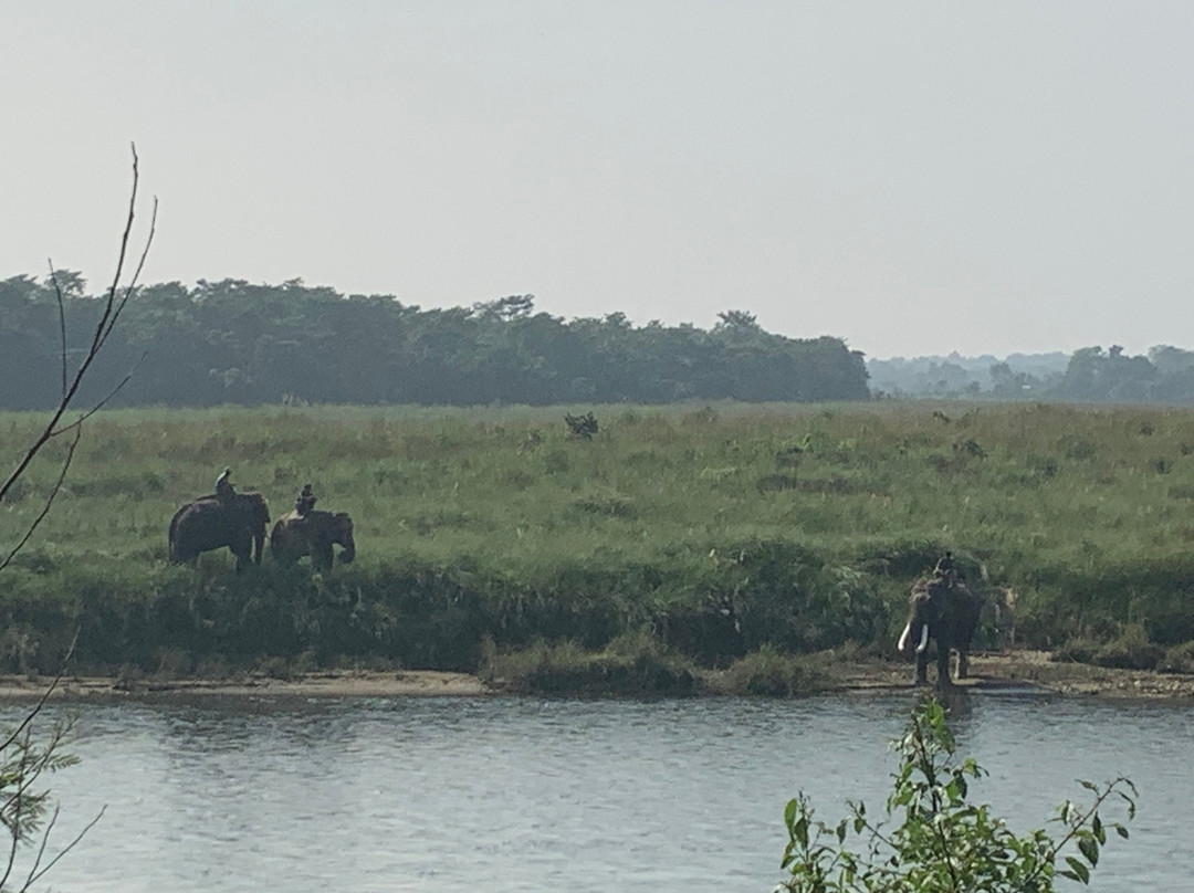 Ghumtee Riviera主图