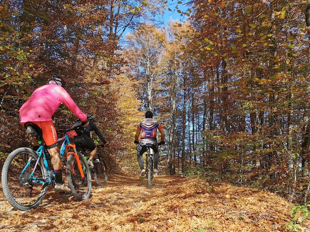 CITY BIKE OHRID-奥赫里德必去景点