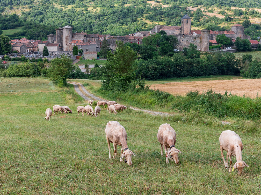 Commanderie Templière et Hospitalière du Larzac景点图片